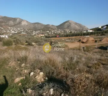 住宅 380m<sup>2</sup> for sale photo 3