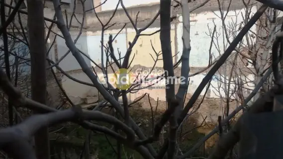 Golden Home Property Image