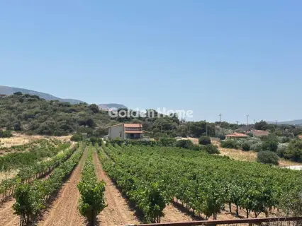 Οικία 370τ.μ. προς πώληση φωτογραφία 2