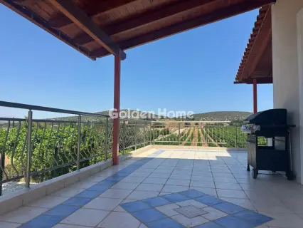Οικία 370τ.μ. προς πώληση φωτογραφία 3