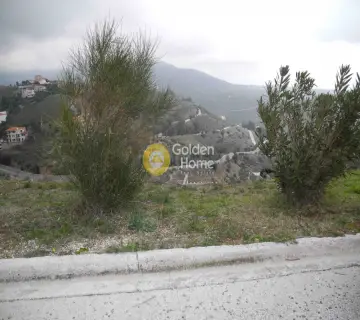 Οικιστικό 1022τ.μ. προς πώληση φωτογραφία 4