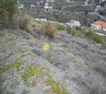 Οικιστικό 1022τ.μ. προς πώληση φωτογραφία 5