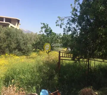 Residential 1080m<sup>2</sup> for sale photo 5
