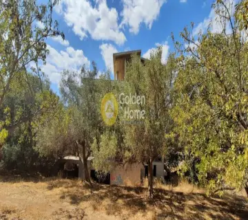 Residential 1080m<sup>2</sup> for sale photo 6
