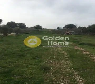 Οικιστικό 5500τ.μ. προς πώληση φωτογραφία 1