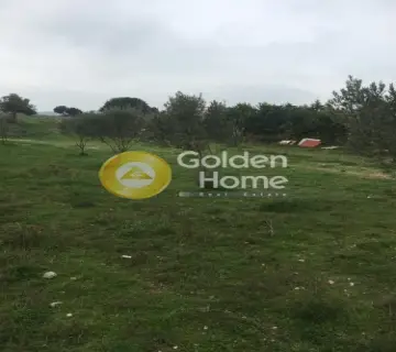 Οικιστικό 5500τ.μ. προς πώληση φωτογραφία 2