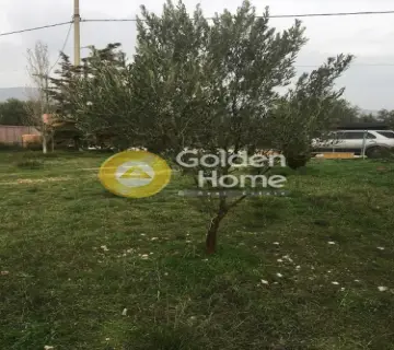 Οικιστικό 5500τ.μ. προς πώληση φωτογραφία 3