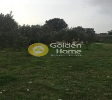 Οικιστικό 5500τ.μ. προς πώληση φωτογραφία 4