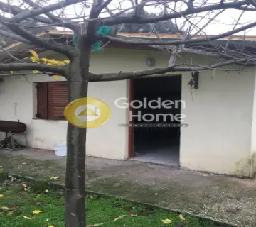Οικιστικό 5500τ.μ. προς πώληση φωτογραφία 5