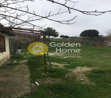 Οικιστικό 5500τ.μ. προς πώληση φωτογραφία 6