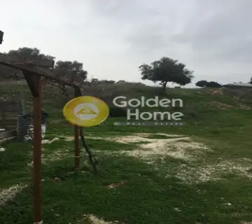 Οικιστικό 5500τ.μ. προς πώληση φωτογραφία 7
