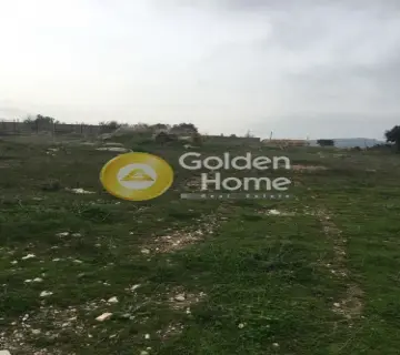 Οικιστικό 5500τ.μ. προς πώληση φωτογραφία 8