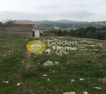 Οικιστικό 5500τ.μ. προς πώληση φωτογραφία 9