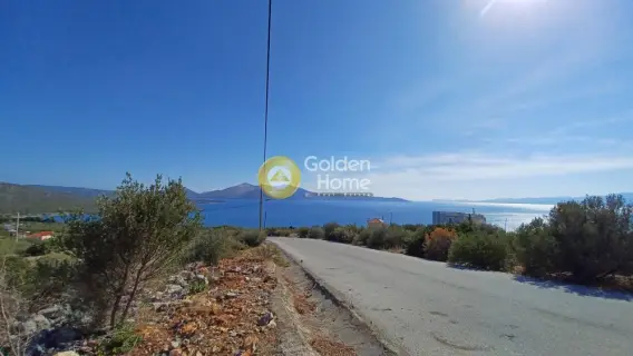 Residential 603m<sup>2</sup> for sale photo 2