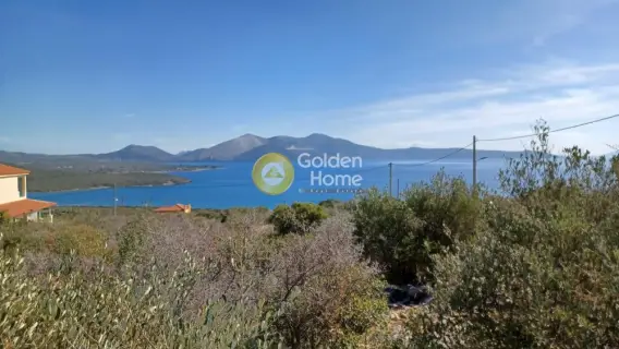 Residential 603m<sup>2</sup> for sale photo 5