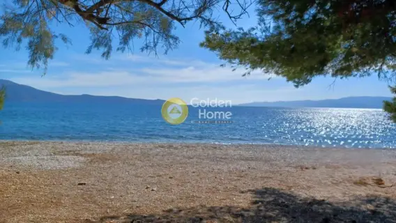 Residential 603m<sup>2</sup> for sale photo 7