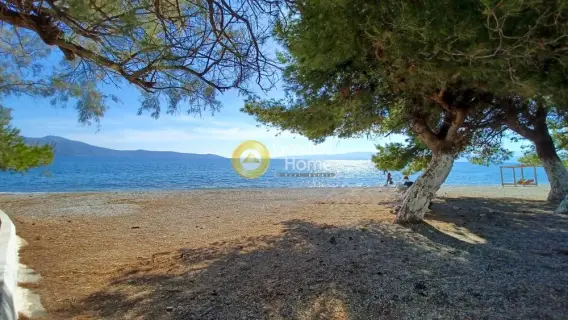 Residential 603m<sup>2</sup> for sale photo 6