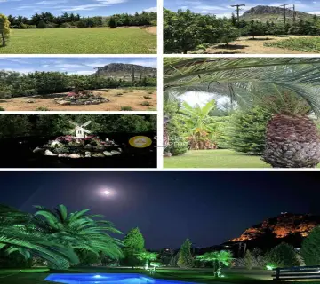 Golden Home Property Image