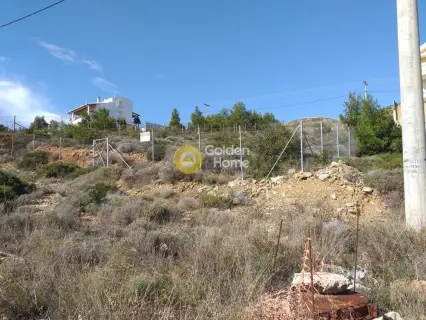 Residential 502m<sup>2</sup> for sale photo 6