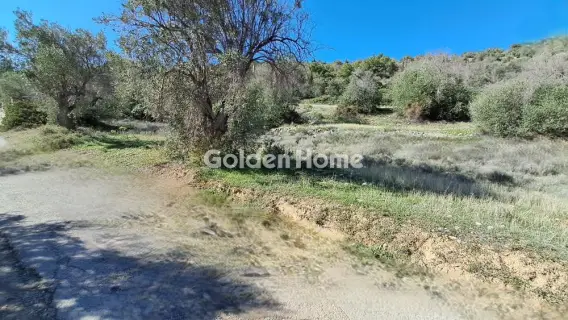 Residential 1520m<sup>2</sup> for sale photo 6