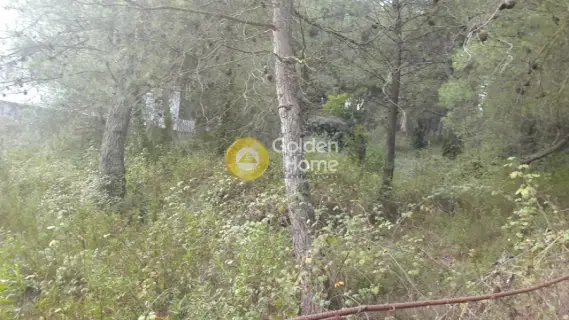 Residential 1600m<sup>2</sup> for sale photo 3