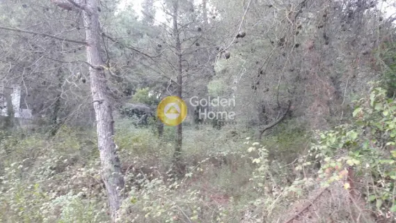 Residential 1600m<sup>2</sup> for sale photo 4