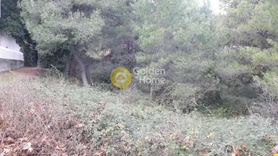 Residential 1600m<sup>2</sup> for sale photo 6