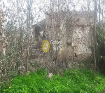 Residential 500m<sup>2</sup> for sale photo 4