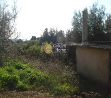 Residential 5000m<sup>2</sup> for sale photo 1