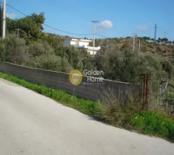 Residential 5000m<sup>2</sup> for sale photo 9