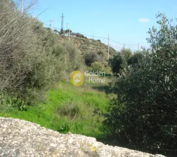 Residential 5000m<sup>2</sup> for sale photo 8