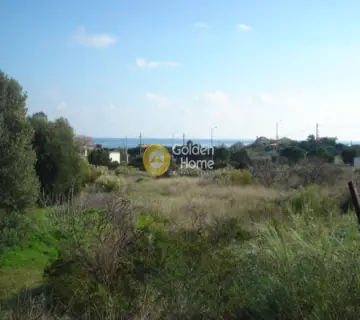 Residential 5000m<sup>2</sup> for sale photo 5