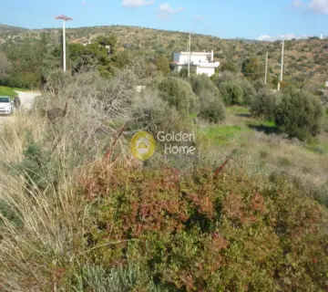 Residential 5000m<sup>2</sup> for sale photo 2