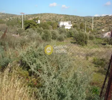 Residential 5000m<sup>2</sup> for sale photo 12