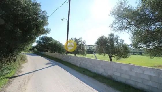 Οικιστικό 4003τ.μ. προς πώληση φωτογραφία 