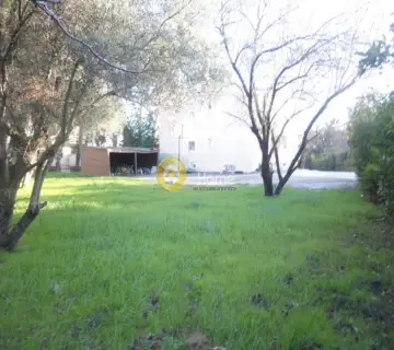 Μονοκατοικία 420τ.μ. προς πώληση φωτογραφία 12