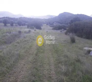 Residential 3500m<sup>2</sup> for sale photo 3