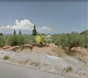 Αγροτεμάχιο 3200τ.μ. προς πώληση φωτογραφία 1