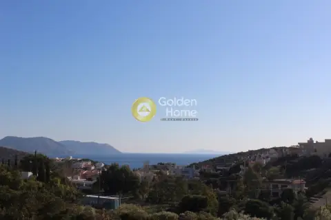 Οικιστικό 1336τ.μ. προς πώληση φωτογραφία 4