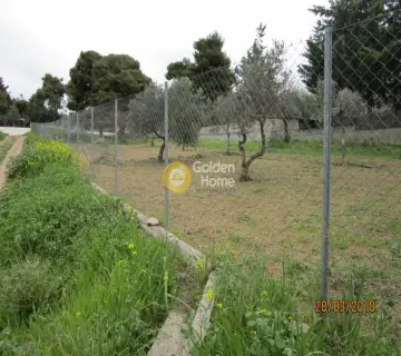 Οικιστικό 1367τ.μ. προς πώληση φωτογραφία 1165980