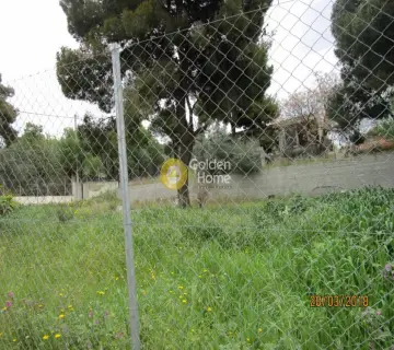 Οικιστικό 1367τ.μ. προς πώληση φωτογραφία 1165980