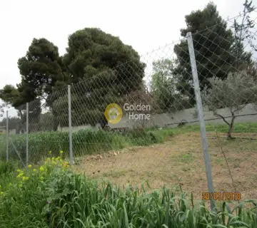 Οικιστικό 400τ.μ. προς πώληση φωτογραφία 4