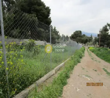 Οικιστικό 400τ.μ. προς πώληση φωτογραφία 9