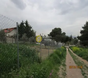 Οικιστικό 400τ.μ. προς πώληση φωτογραφία 11