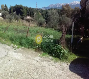 Οικιστικό 400τ.μ. προς πώληση φωτογραφία 3