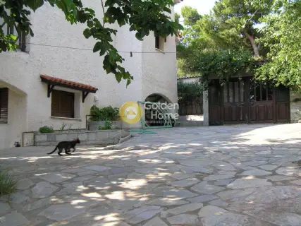 房子 280m<sup>2</sup> for rent photo 10