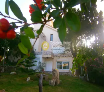 Golden Home Property Image