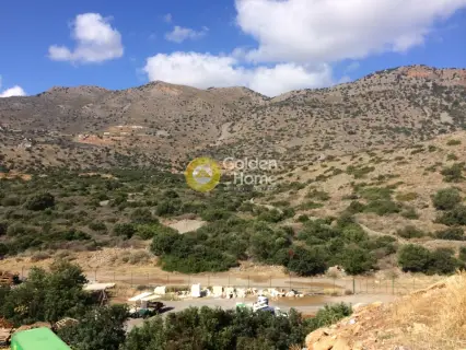 Golden Home Property Image