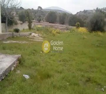 Αγροτεμάχιο 2150τ.μ. προς πώληση φωτογραφία 3