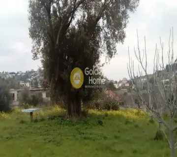 Αγροτεμάχιο 2150τ.μ. προς πώληση φωτογραφία 5